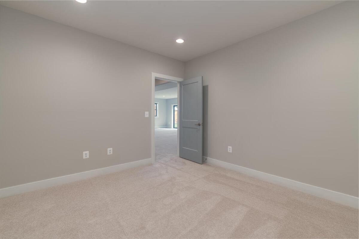 Basement Flex Room